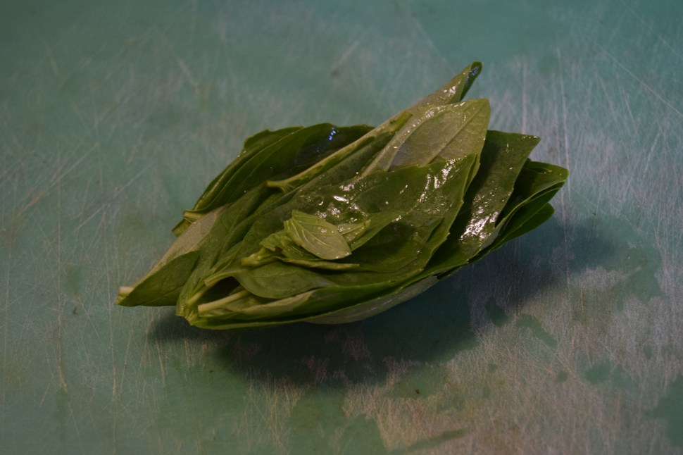 Take this basil by either end, and roll it into a weird green cigar (not that kind of weird green cigar), then make thin slices to do a 