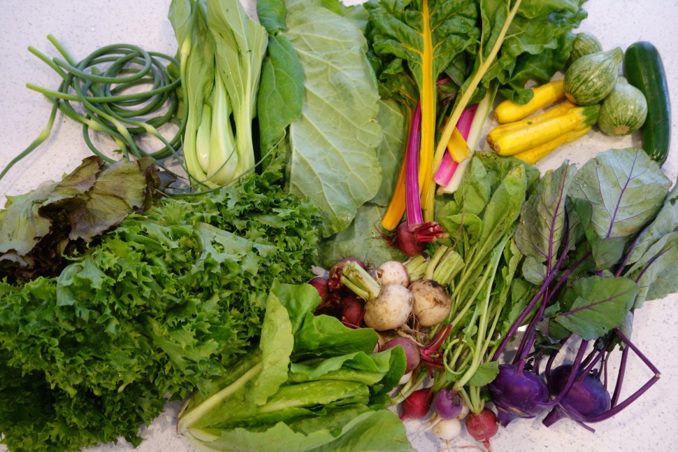 I WILL EAT ALL THE VEGETABLES AND MAKE MY MOTHER PROUD!